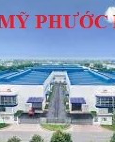 Thi Công Decal Mờ Văn Phòng Tại Mỹ Phước - Cắt Logo Chuyên Nghiệp